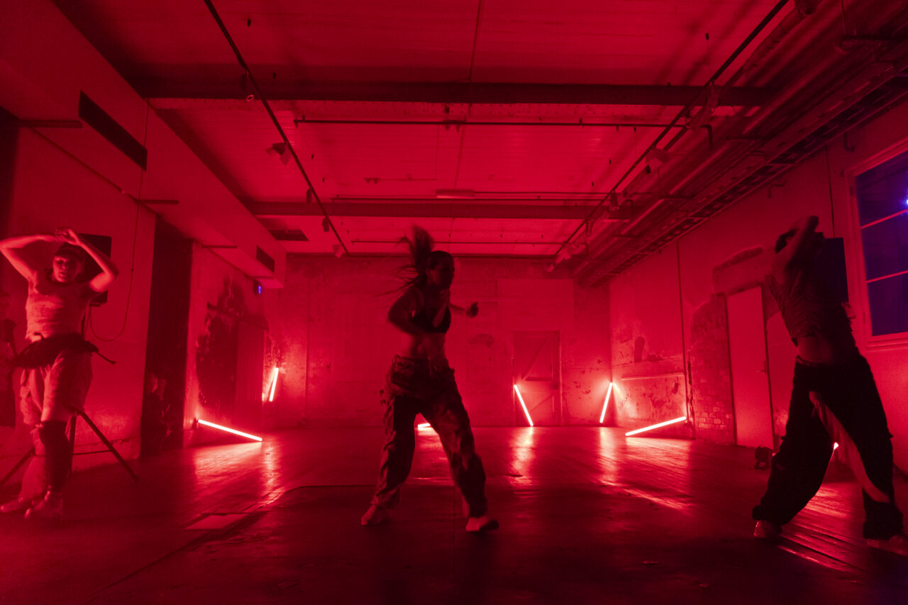 Image by Mark Gambino.