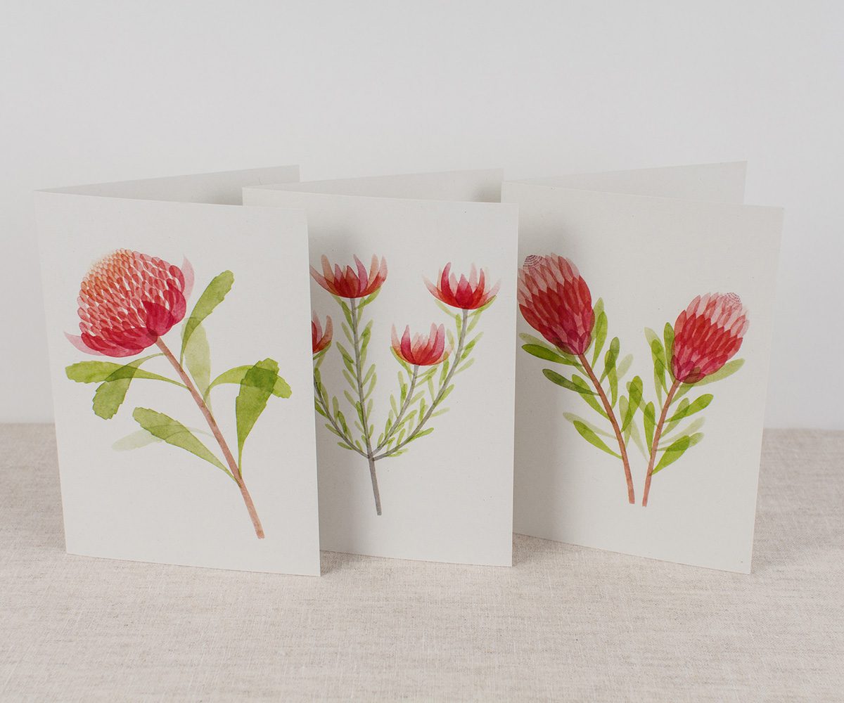 프로테아 - 카드(3장 세트)