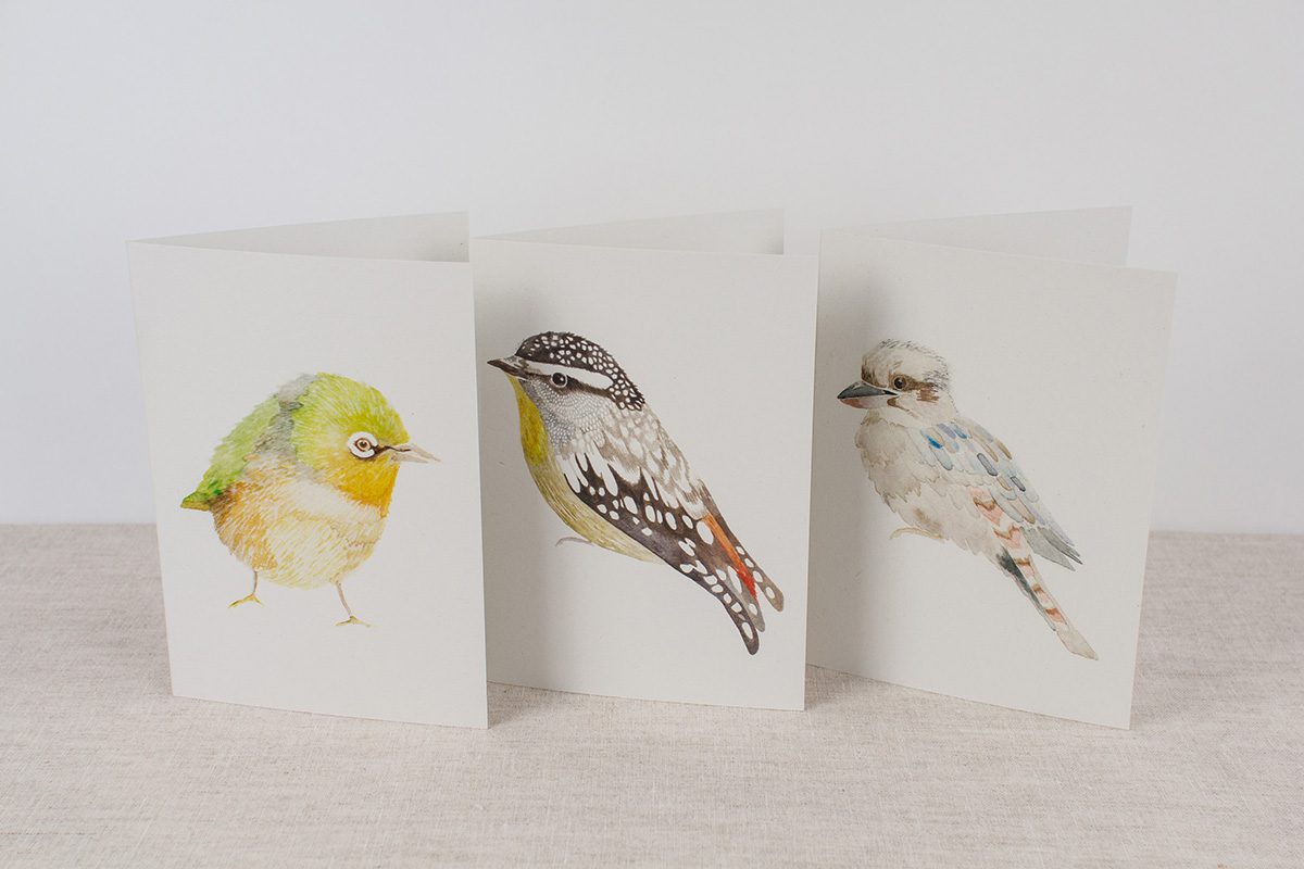 Oiseaux indigènes - cartes (lot de 3)