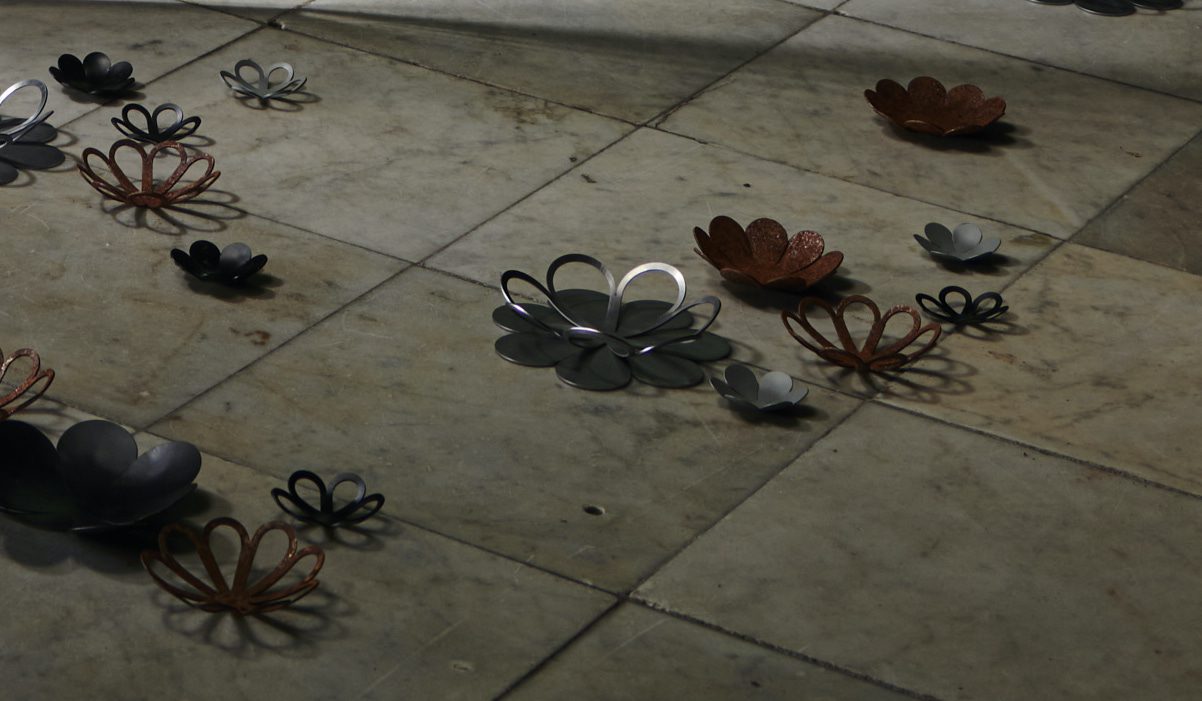 Flowers from The Meadow