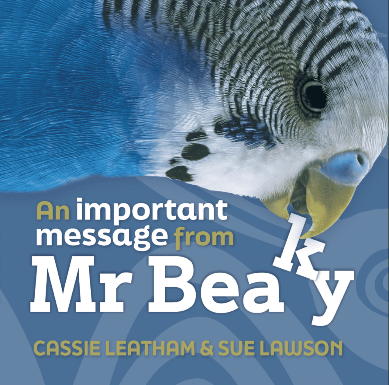 An Important Message from Mr Beaky by Cassie Leatham and Sue Lawson