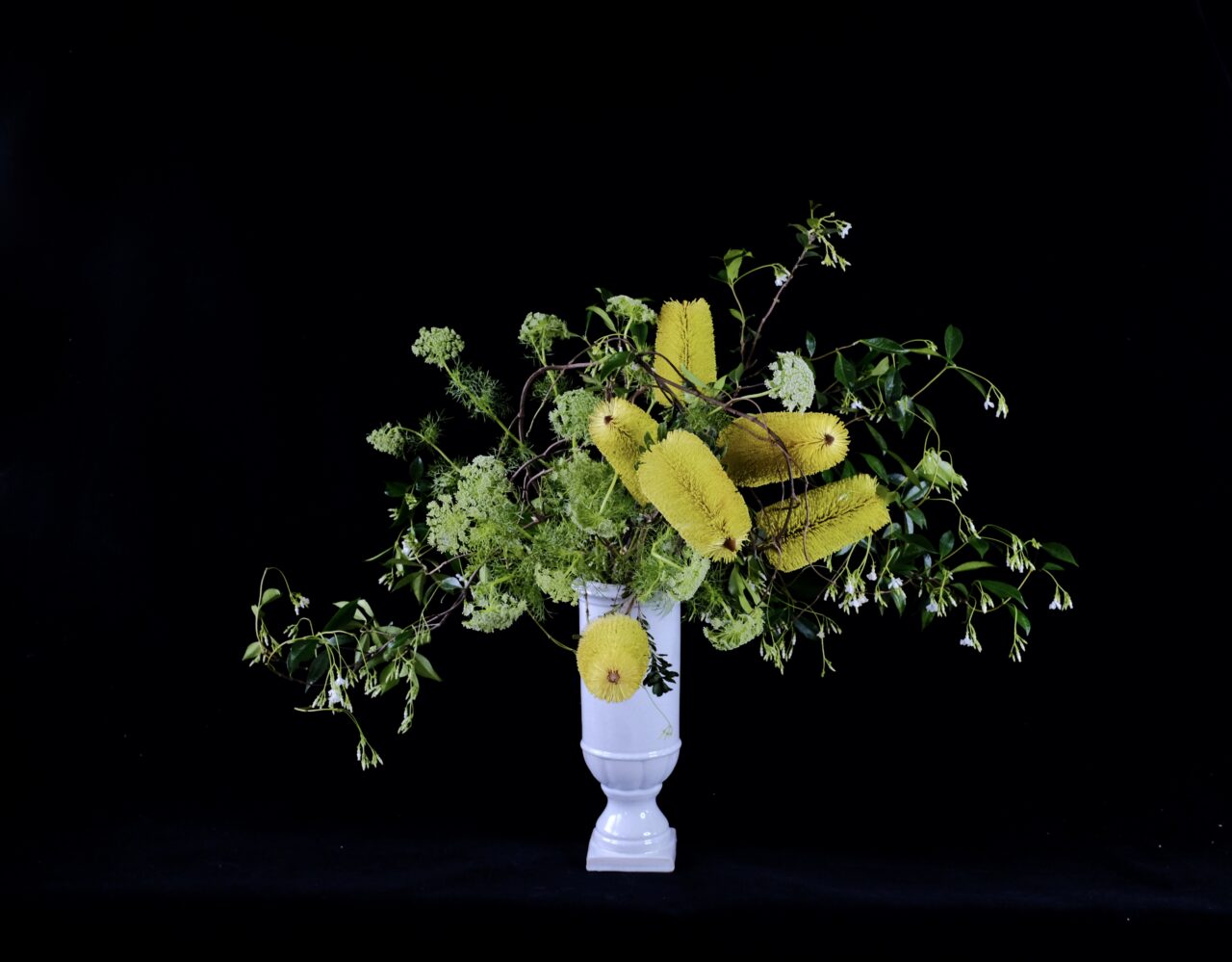 Image fournie