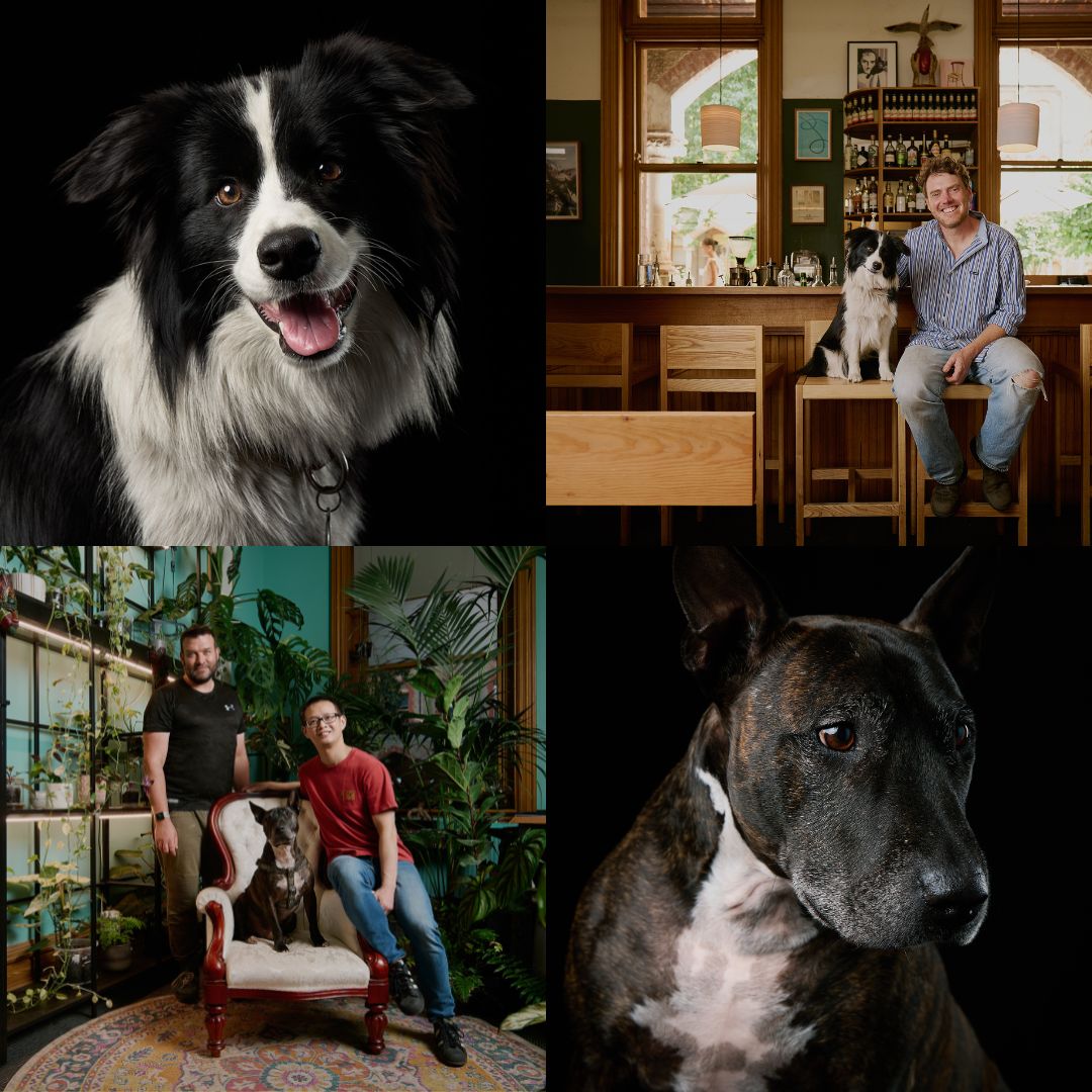 Dogs of the Convent: 2026 Calendar