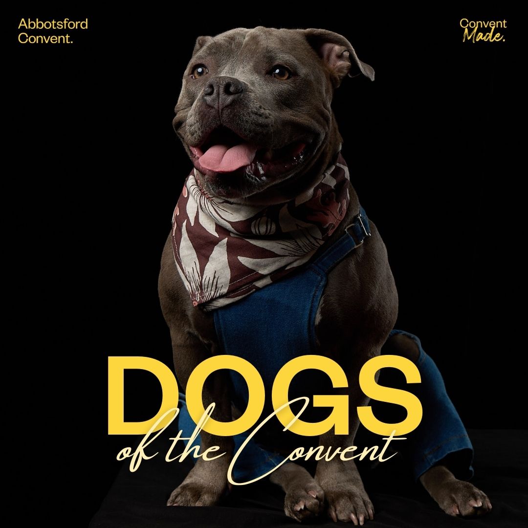 Dogs of the Convent: 2026 Calendar