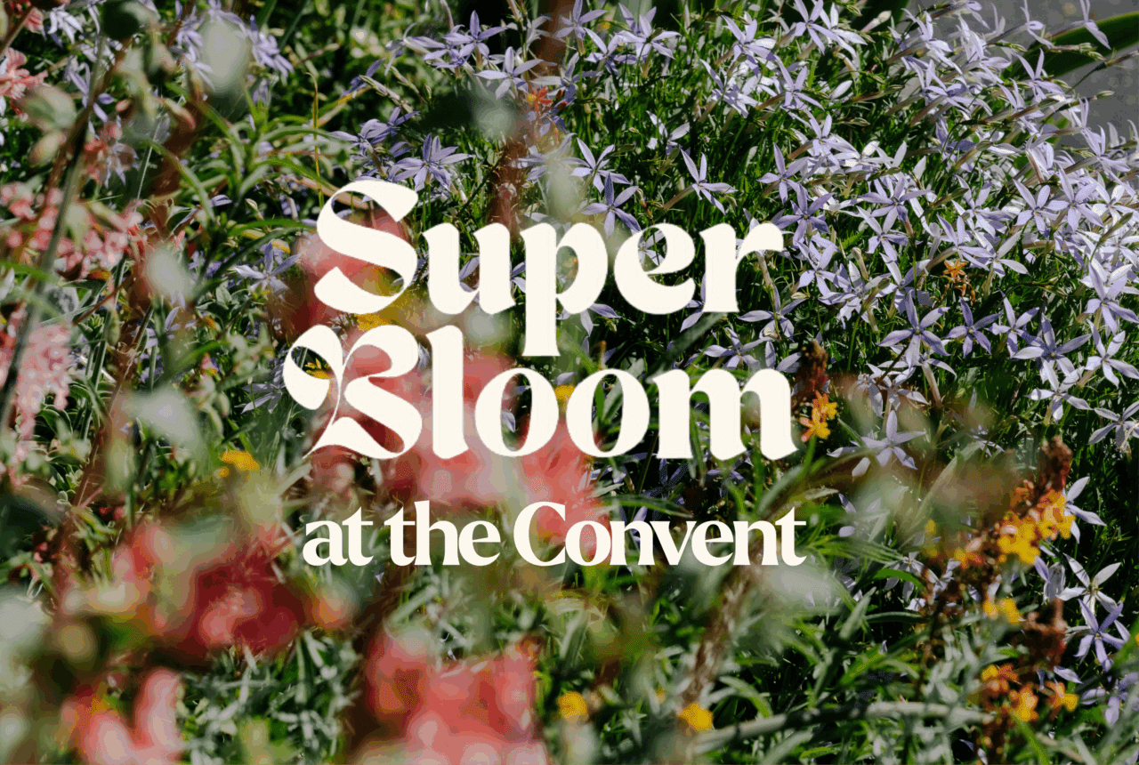 Image by Sarah Pannell.