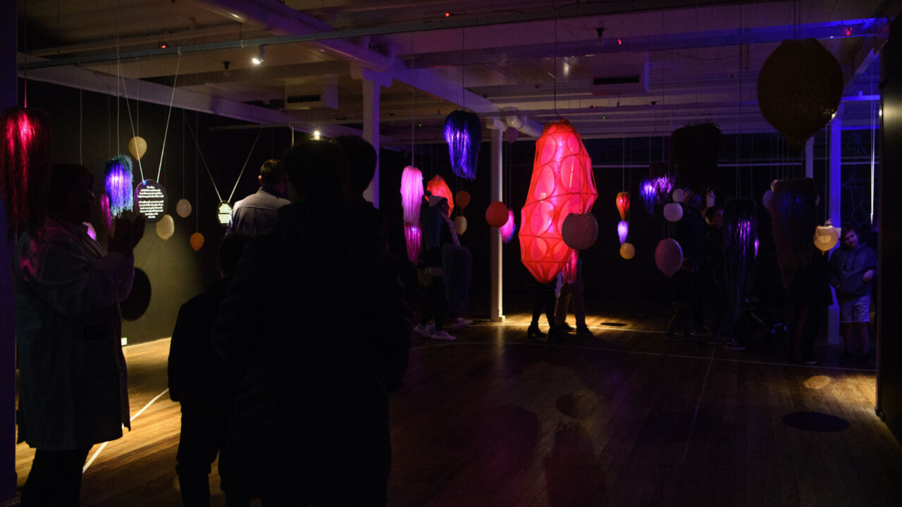 Spider Goat and the Insect Electric. Image supplied.