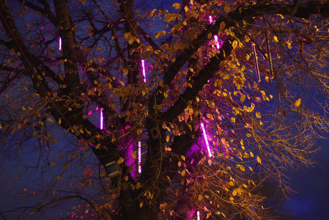 Call and Response, 2017. Image supplied.