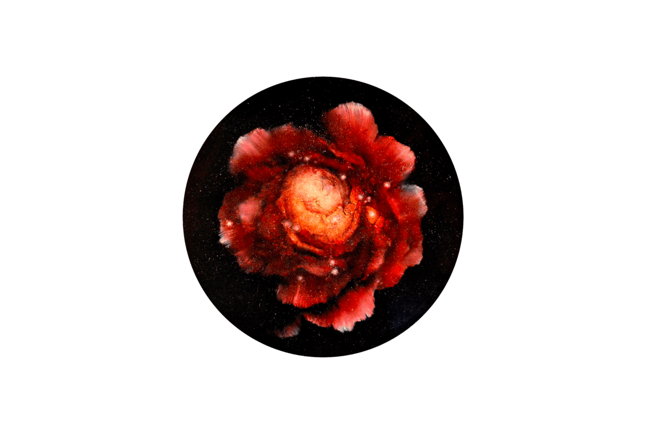 NEBULOUS ROSE, Pamela Bain, Oil on circular canvas, 70cm diameter, 2025.