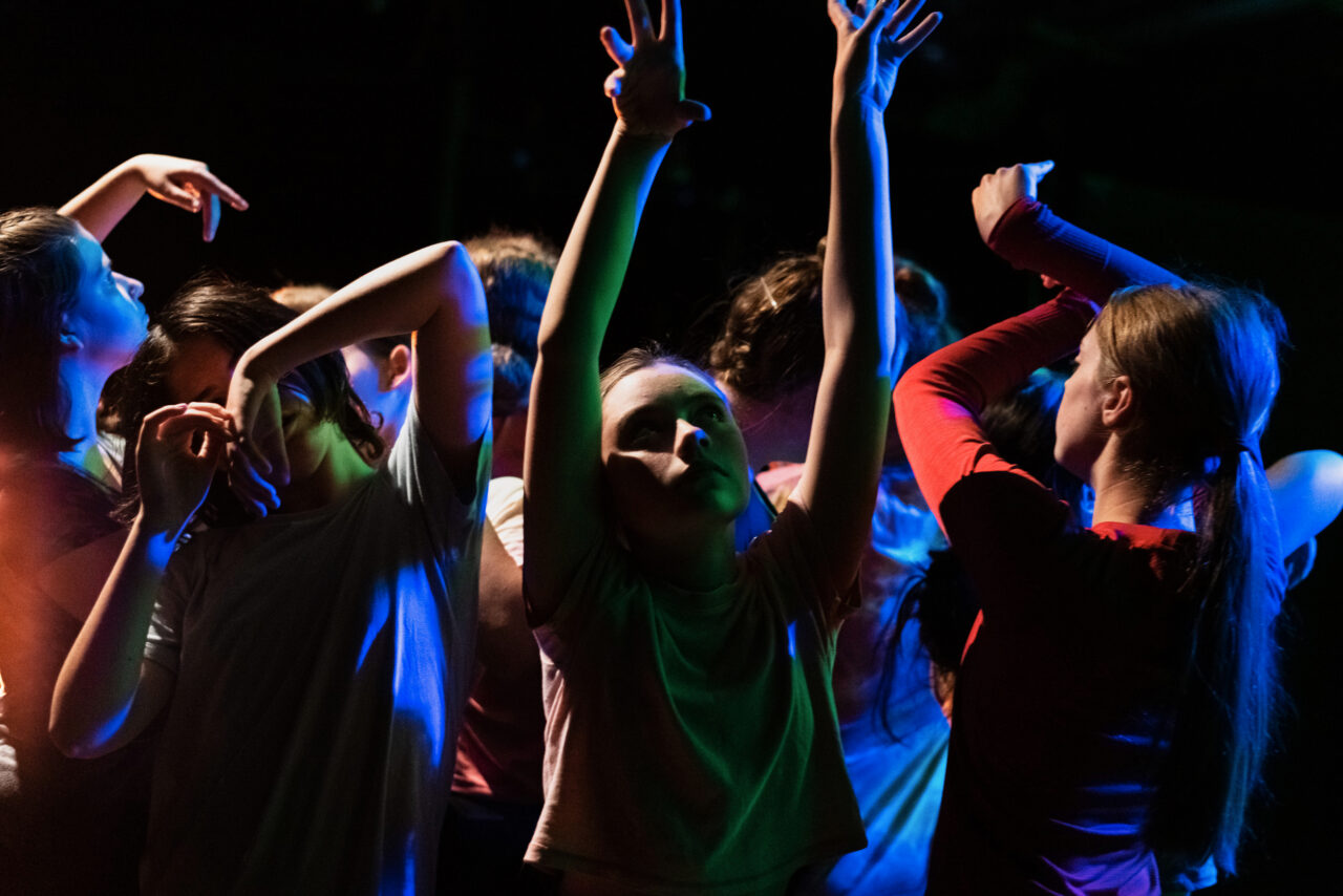 Image by Lukas White