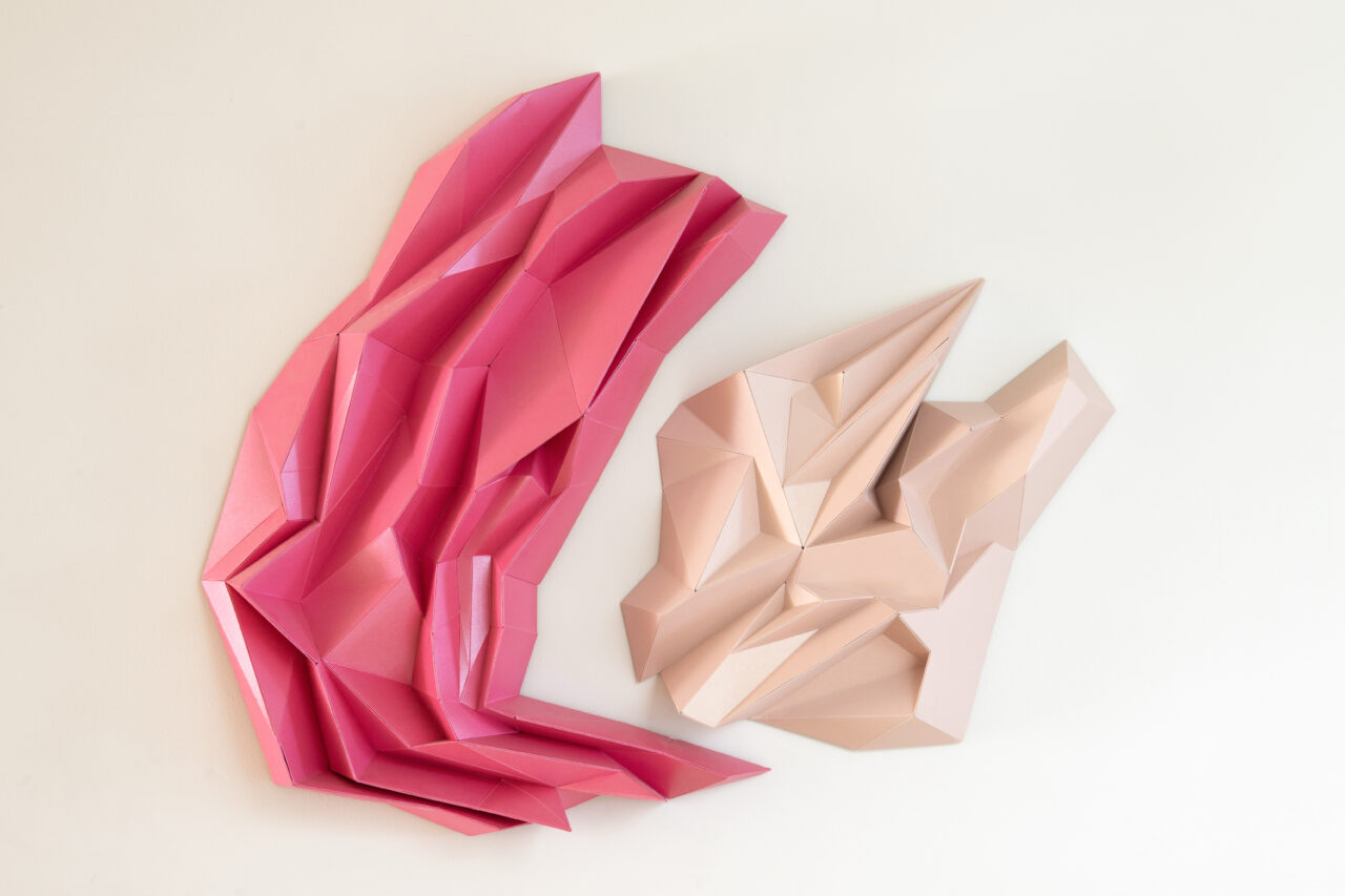 Pinks. [Gerard Van Dyck 2025]. Image by Bianca Conwell.