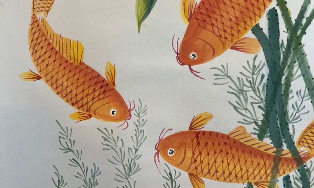 Image courtesy of Holy Grail Plants.