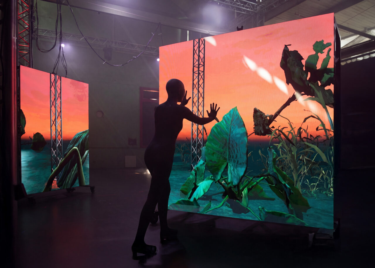 Yandell Walton, Ecological Adaption. Image supplied.