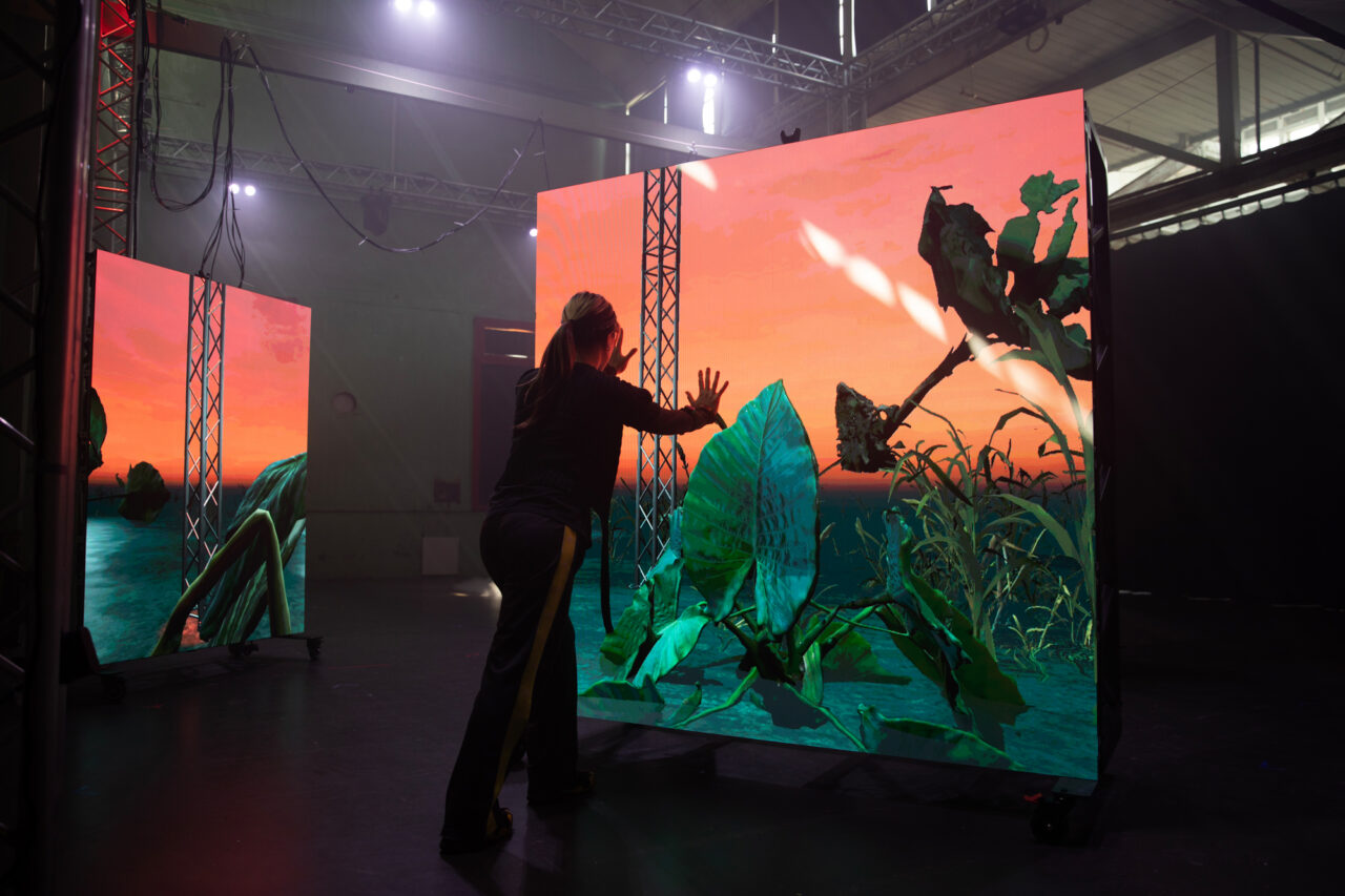 Yandell Walton, Ecological Adaption. Image supplied.