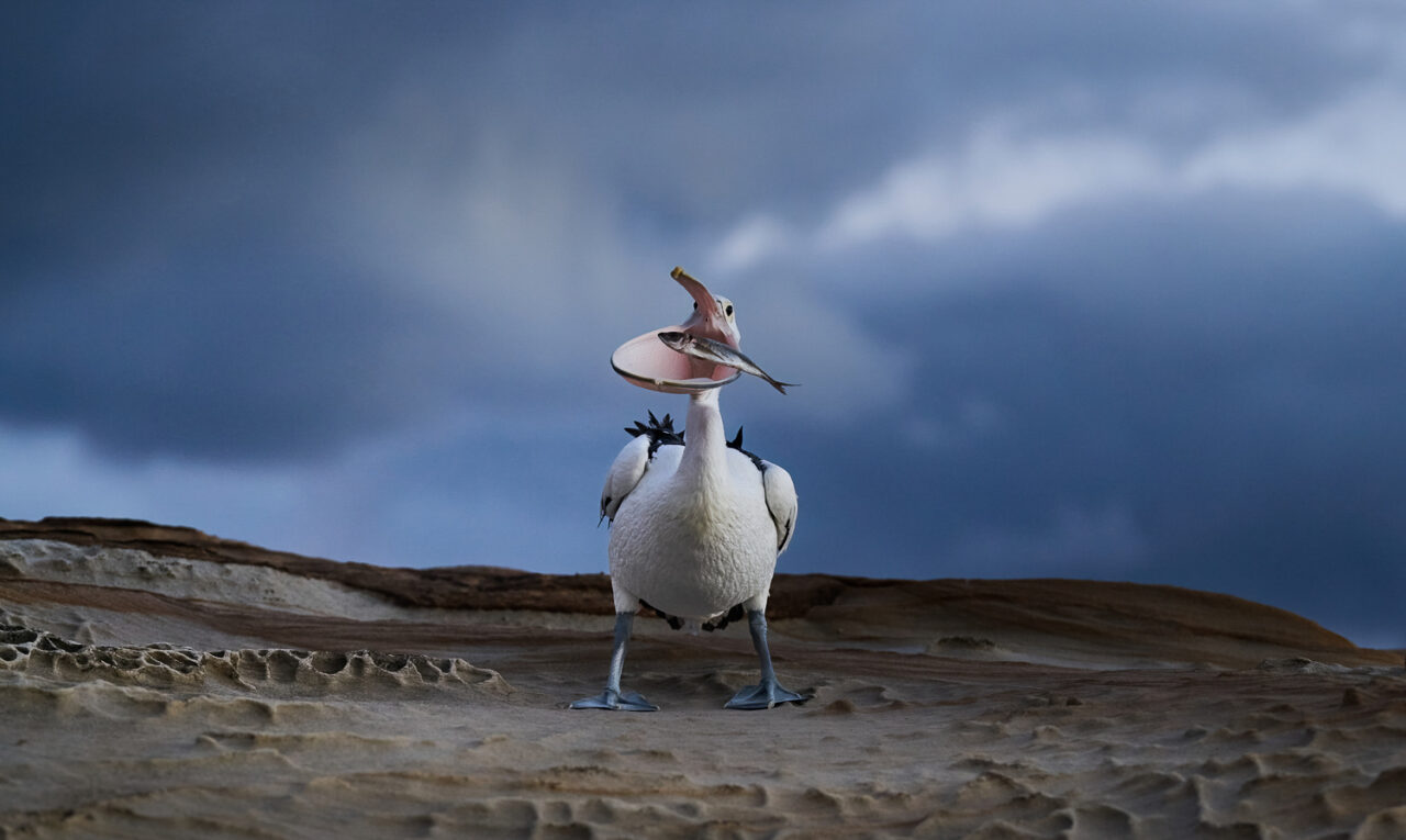 Image by Emma Parker
