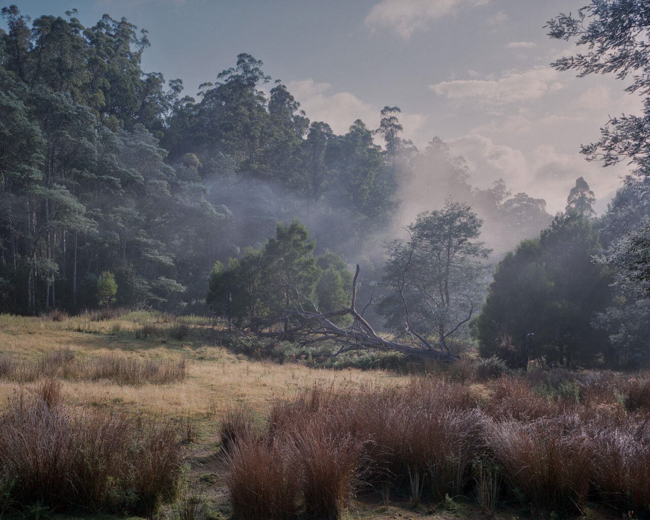 Image by Chris Round.