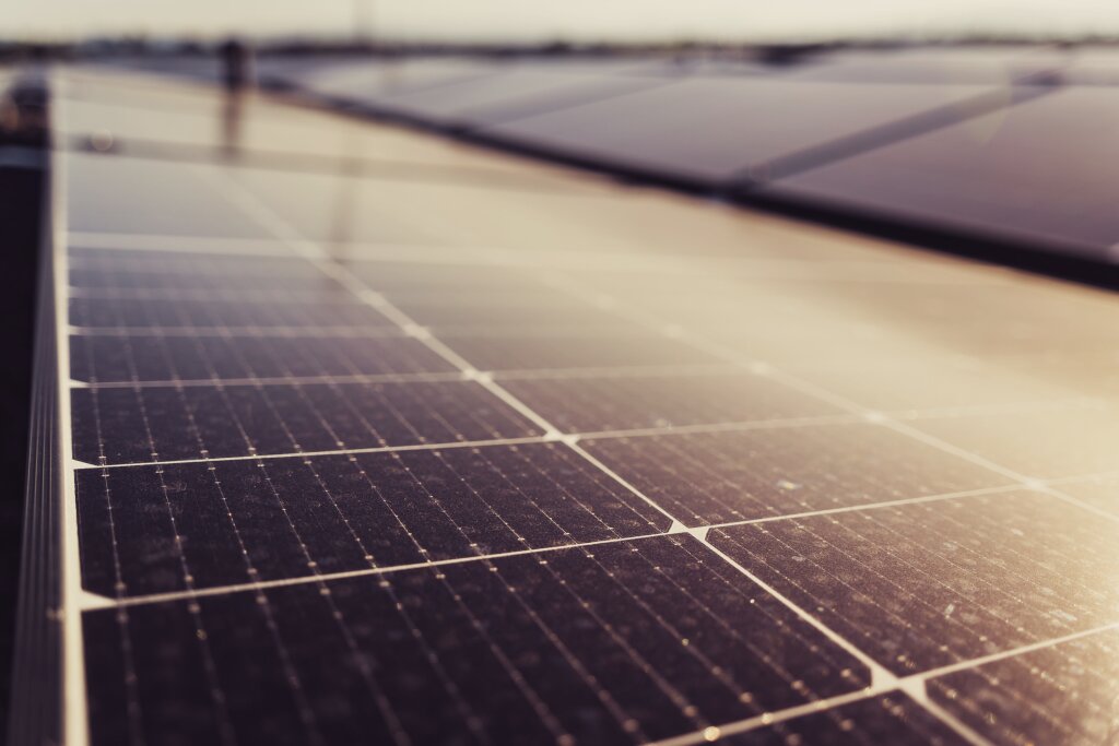 A grid pattern of dark solar panels covers a large roof surface, reflecting soft golden sunlight across the grid.