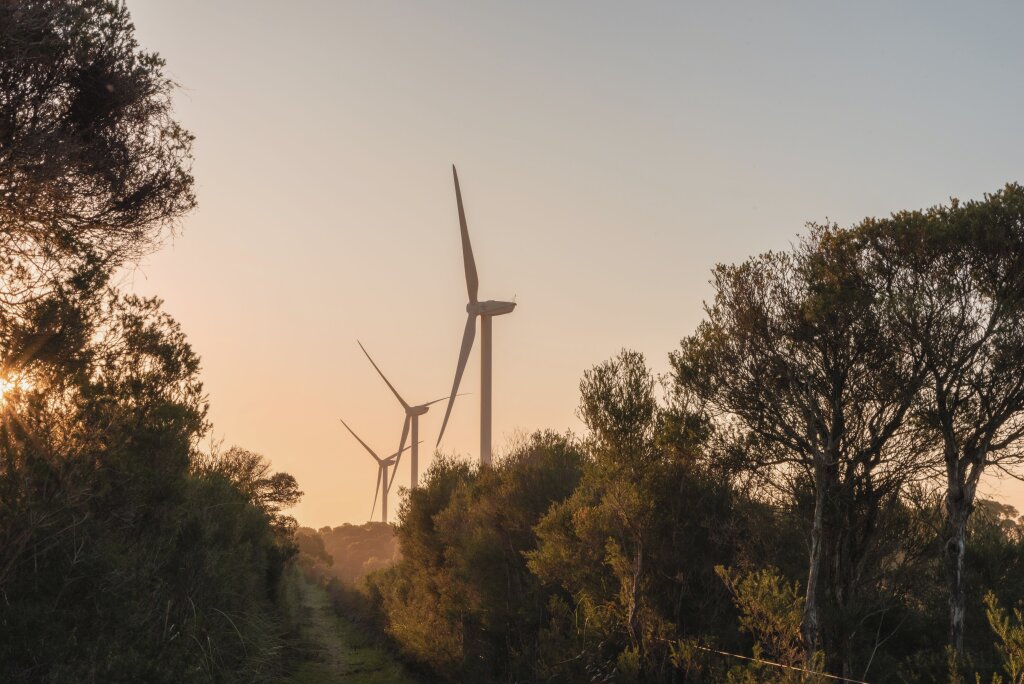 Three large industrial wind turbines stand in a line behind green trees and bushes under a clear sunset sky.