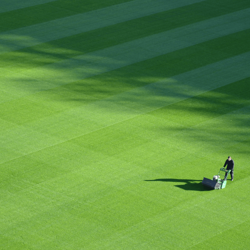 2025/09/Image-1_-man-mowing-turf.png