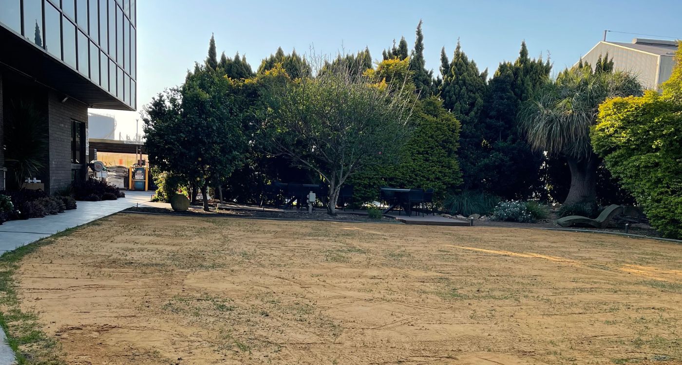 finished lawn renovation