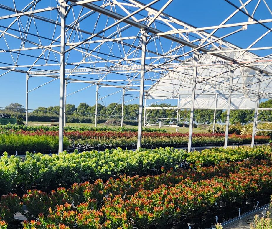 custom nursery growing media
