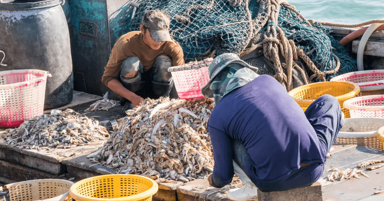 People-Smuggling Image