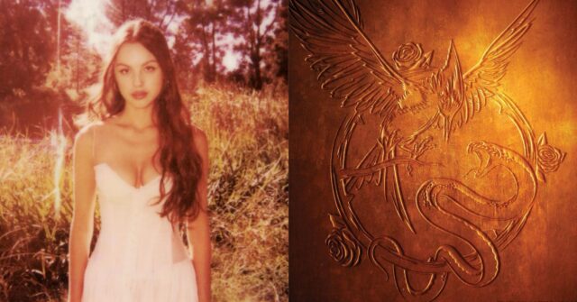 olivia rodrigo hunger games