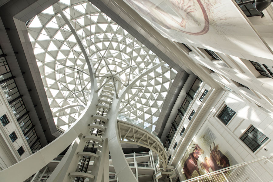The Tree of Life structure at the heart of National Museum of Natural History.