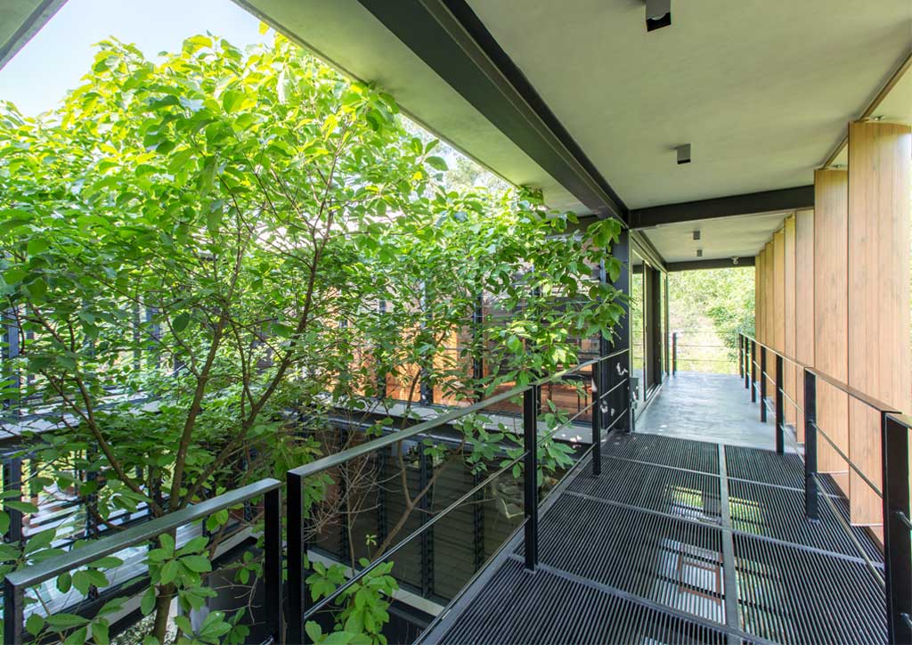 bluprint architecture tropical houses baad studio