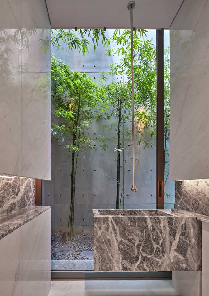 bluprint architecture RT+Q Architects terrace house