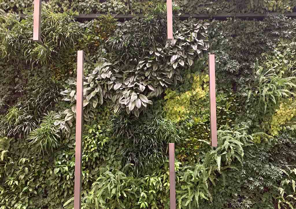 Indoor gardening - NEX Tower - green wall