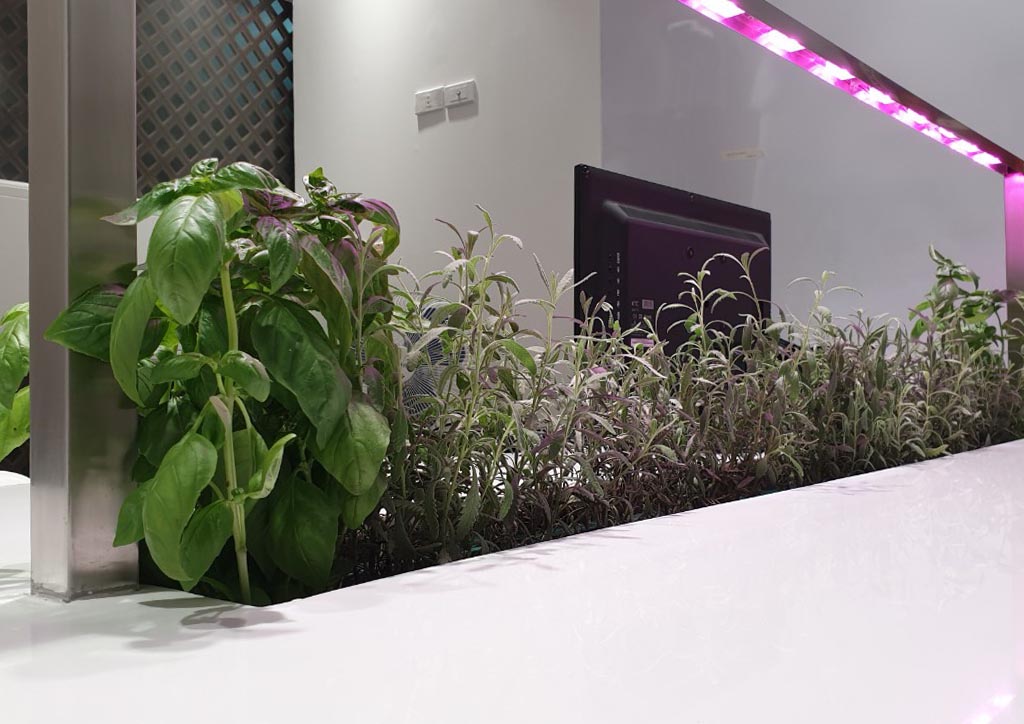 Indoor gardening - Congress Office by LDG Architects