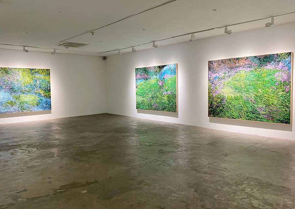 Elaine Roberto Navas