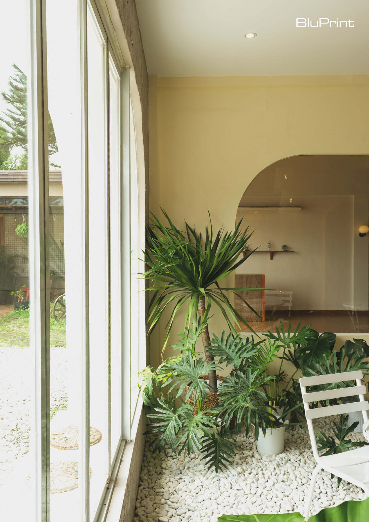 Where To Put Indoor Plants In Small Spaces.