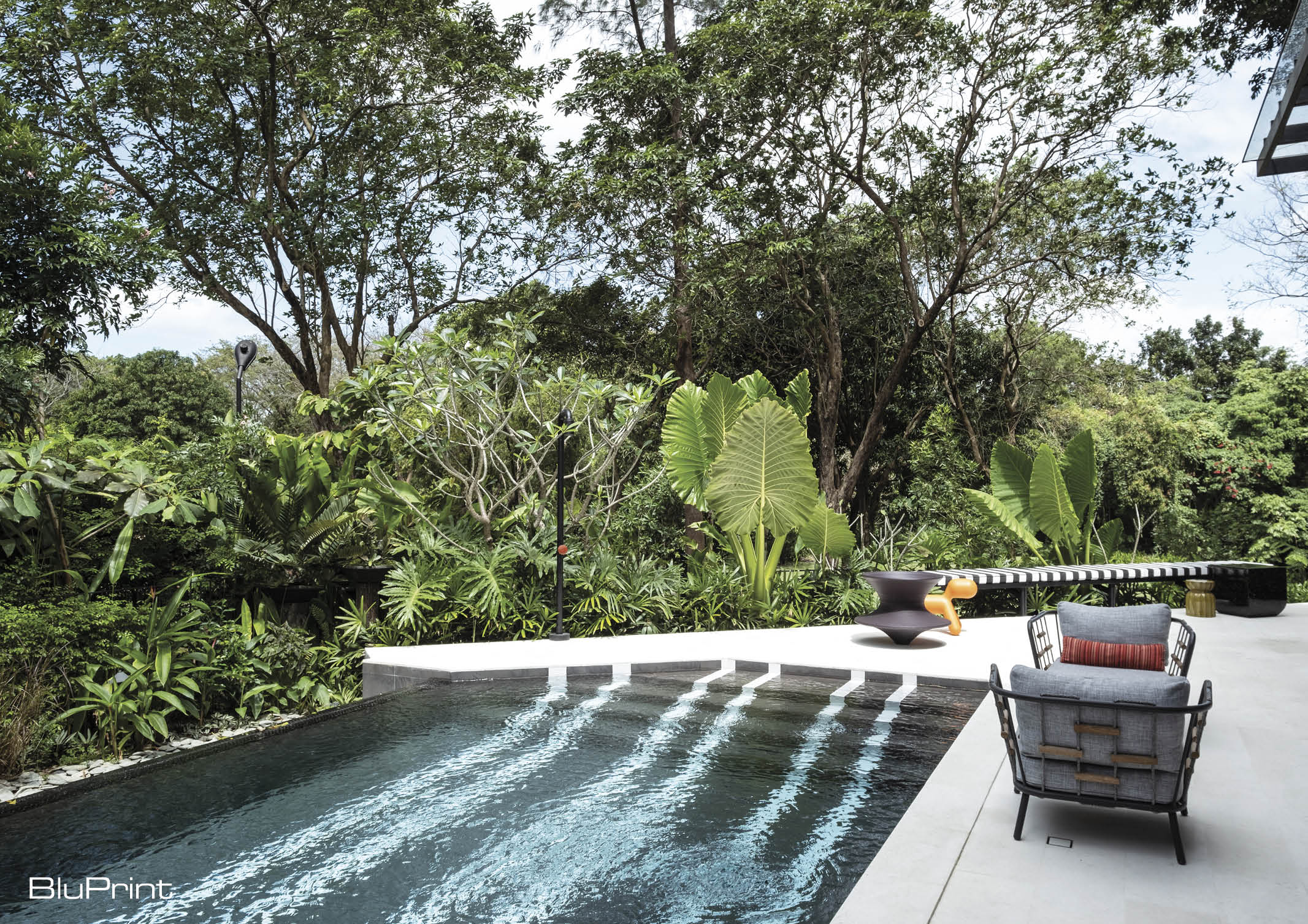 The Bird House of Carol Karthe