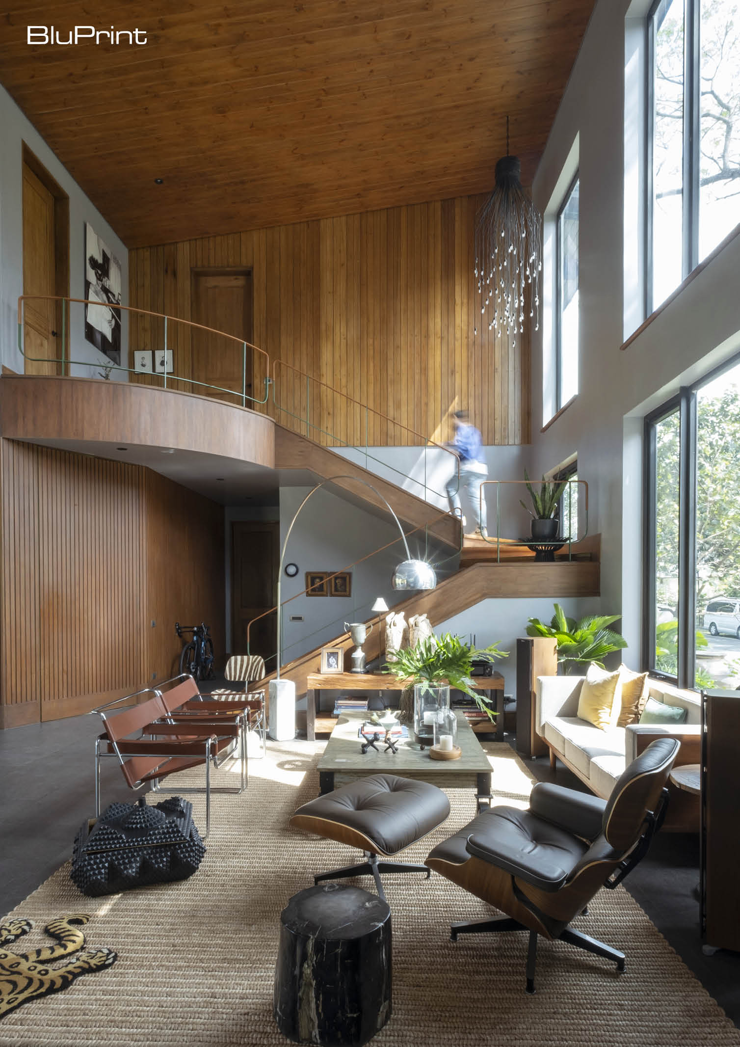 The Bird House of Carol Karthe