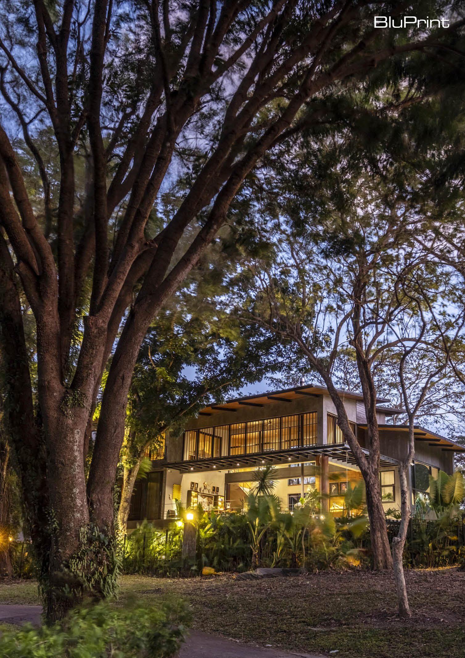 The Bird House of Carol Karthe