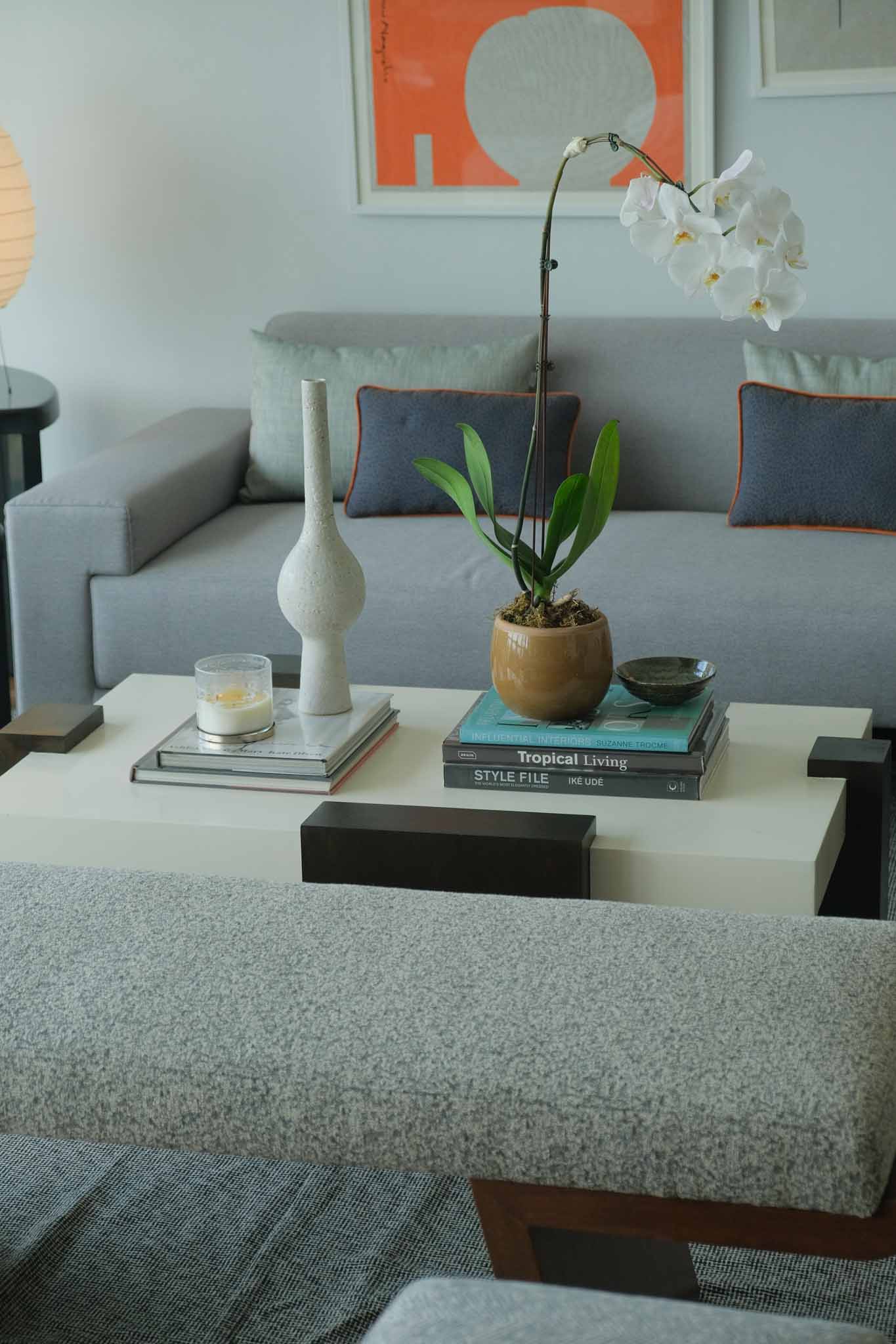 Where To Put Indoor Plants In Small Spaces.