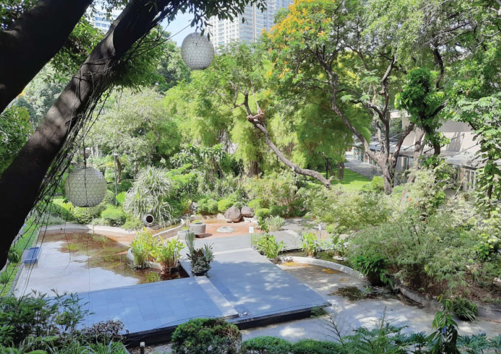 Greenbelt Park by Kenneth M. Del Rosario