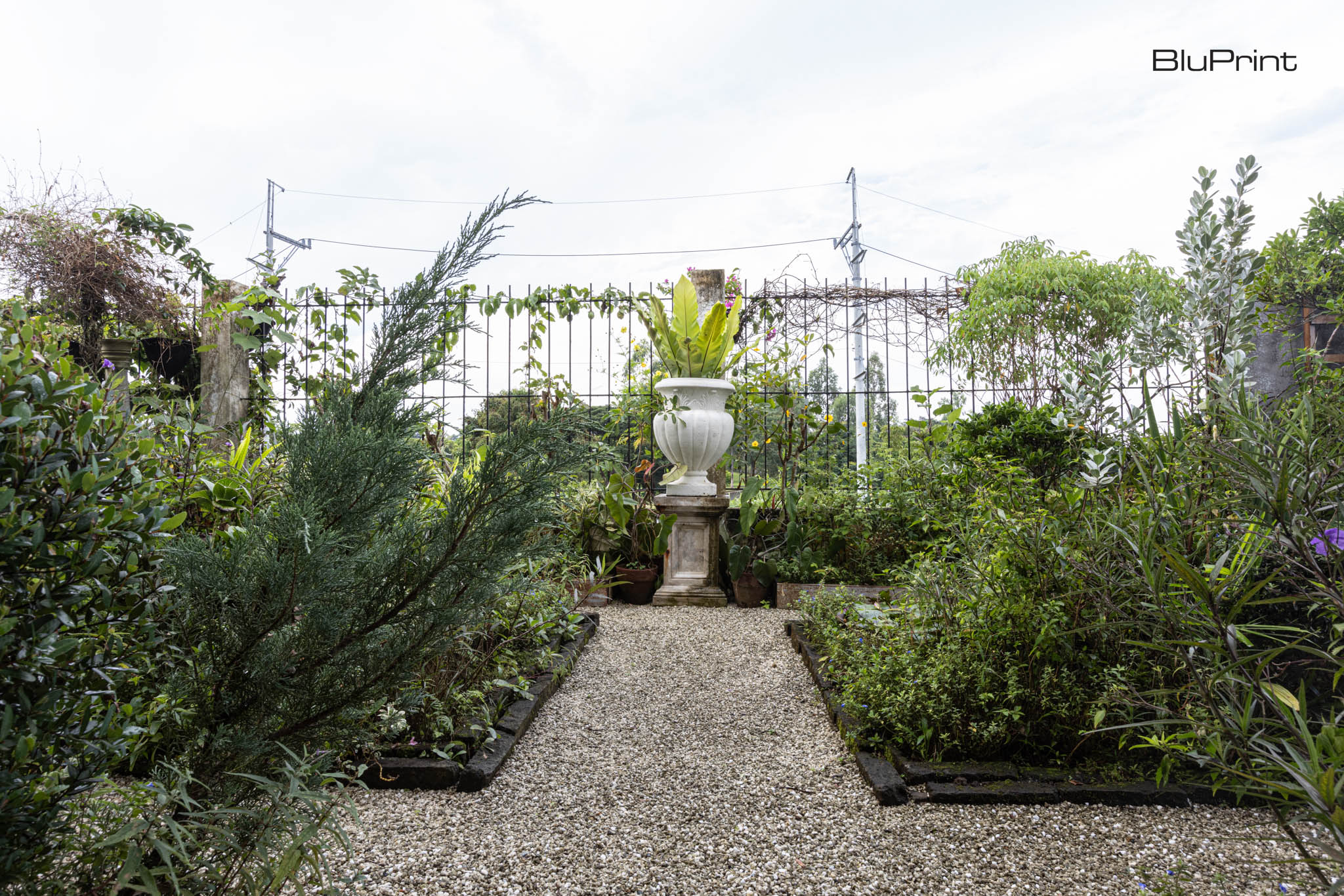 A large white vase on a pedestal with a tropical plant in a manicured garden in a modern home.