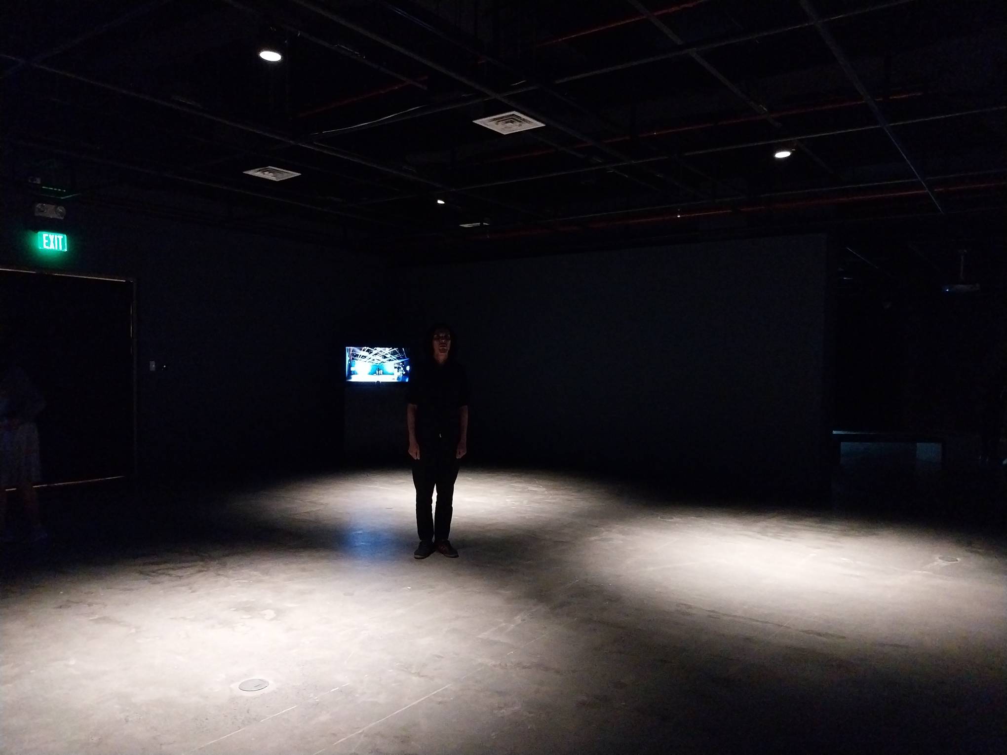 Kaloy Olavides in the center of his video art work for "Transitions and Continuity." Photo by Patricia Yap.