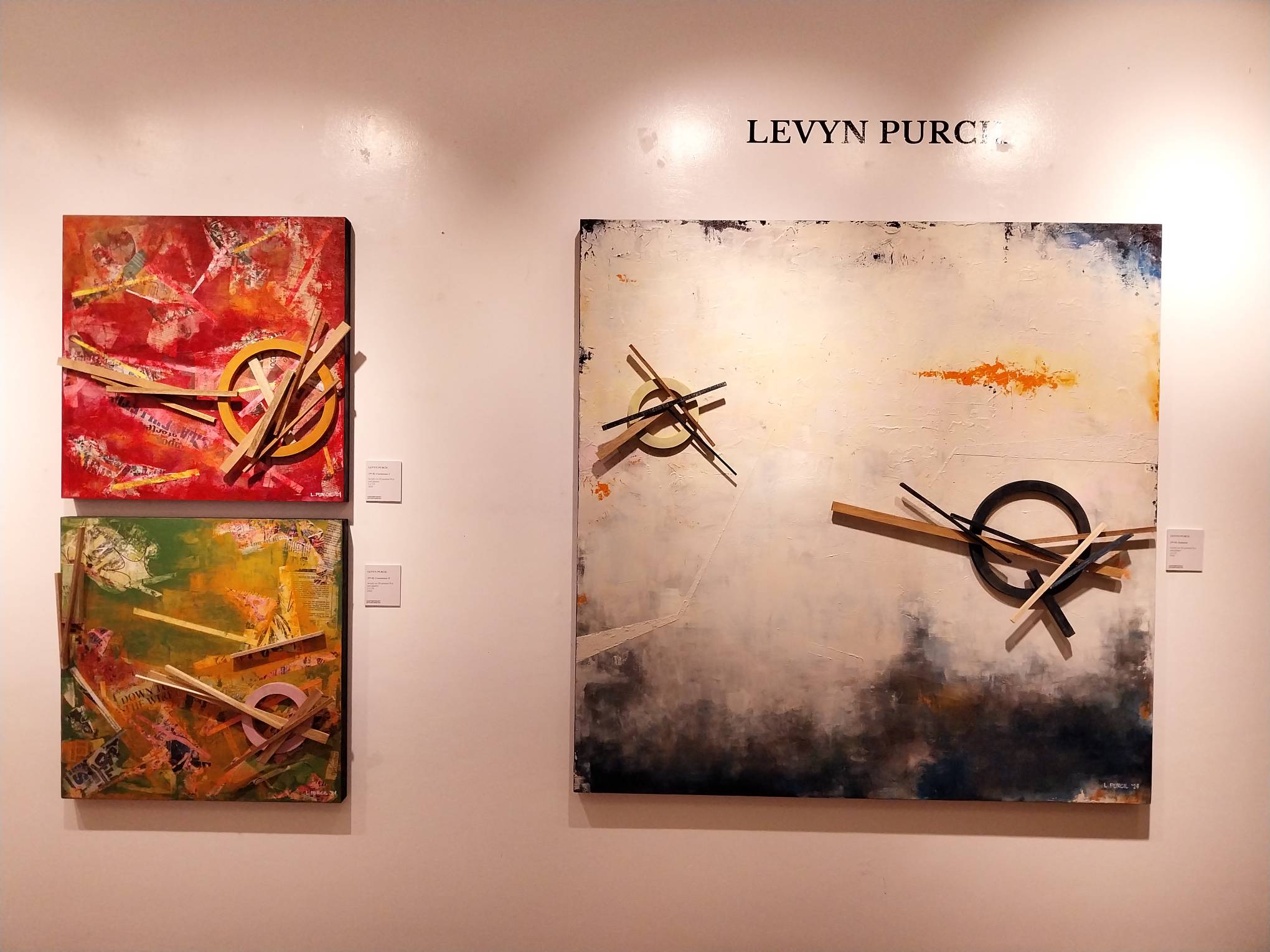 Levyn Purcil's work for "Probe: Precedents + Phenomena."