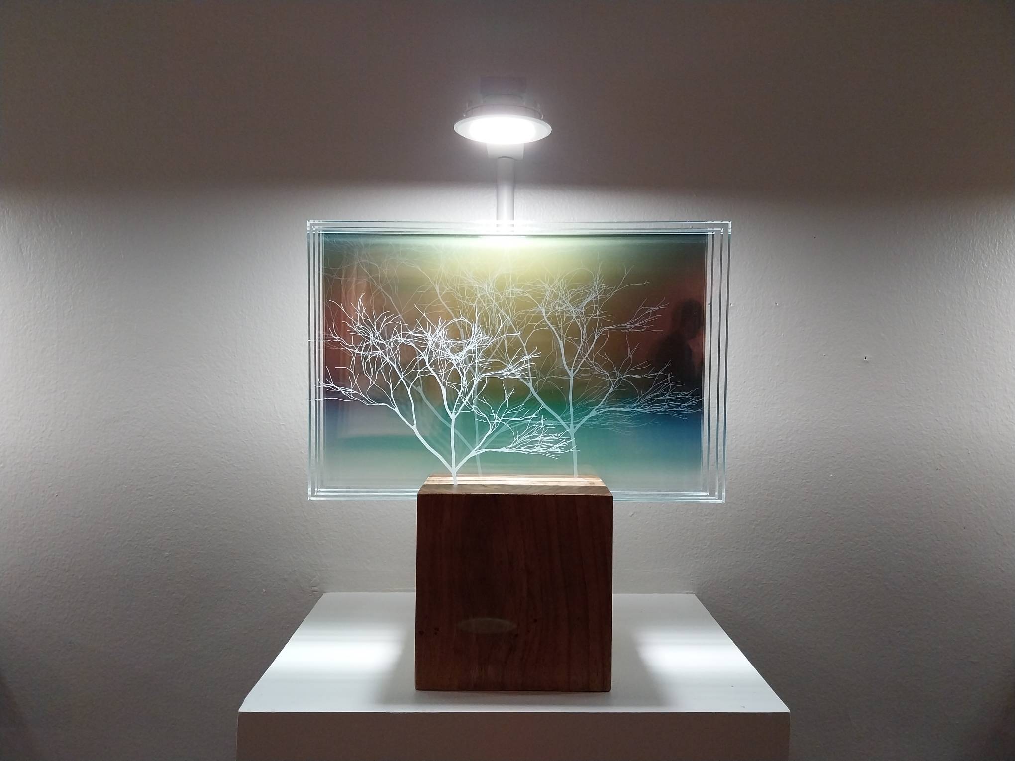 "Renna" for "Into Light" at Artinformal Gallery.