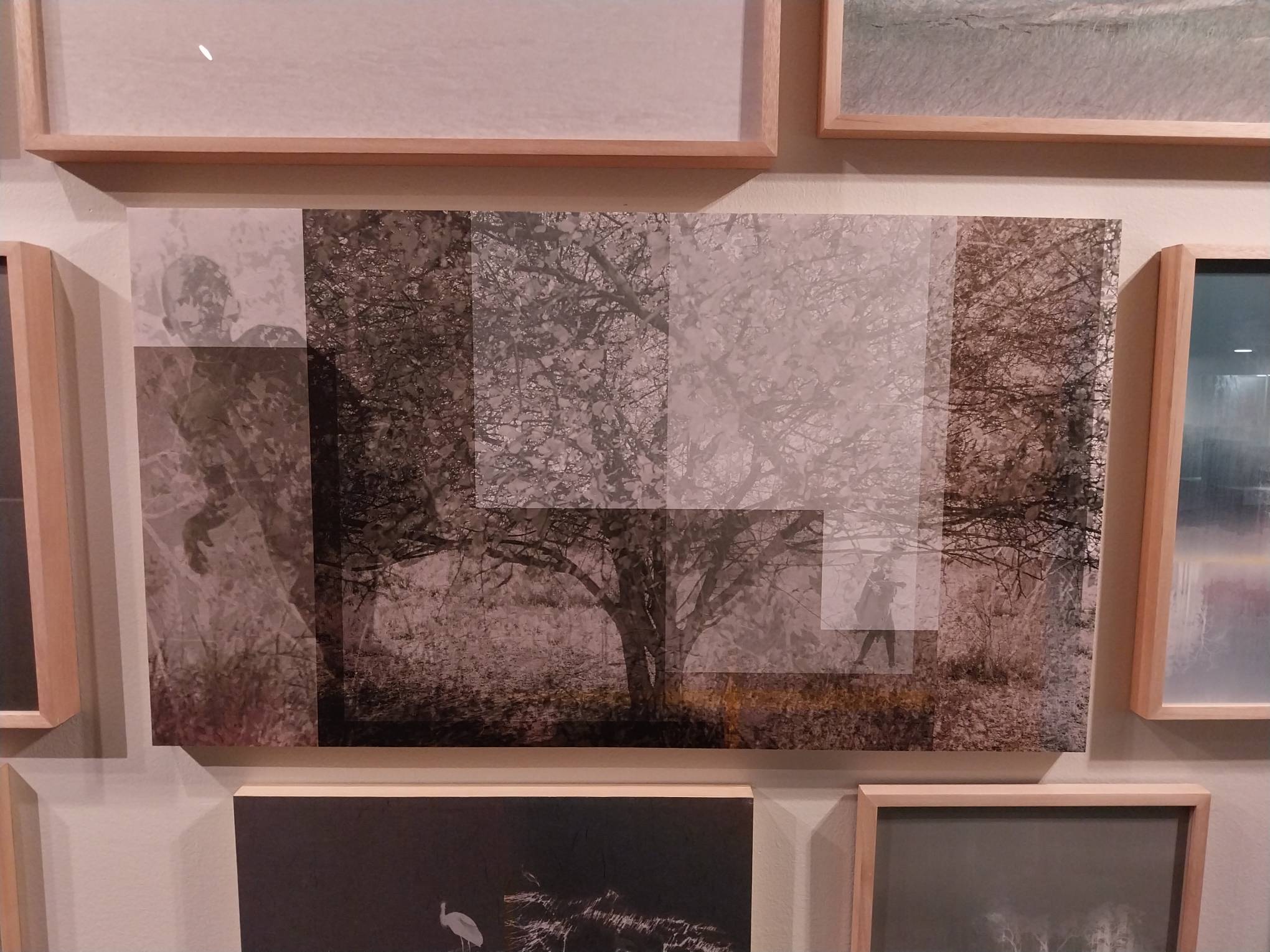 "Tiam" by Angela Panlilio for "Into Light."