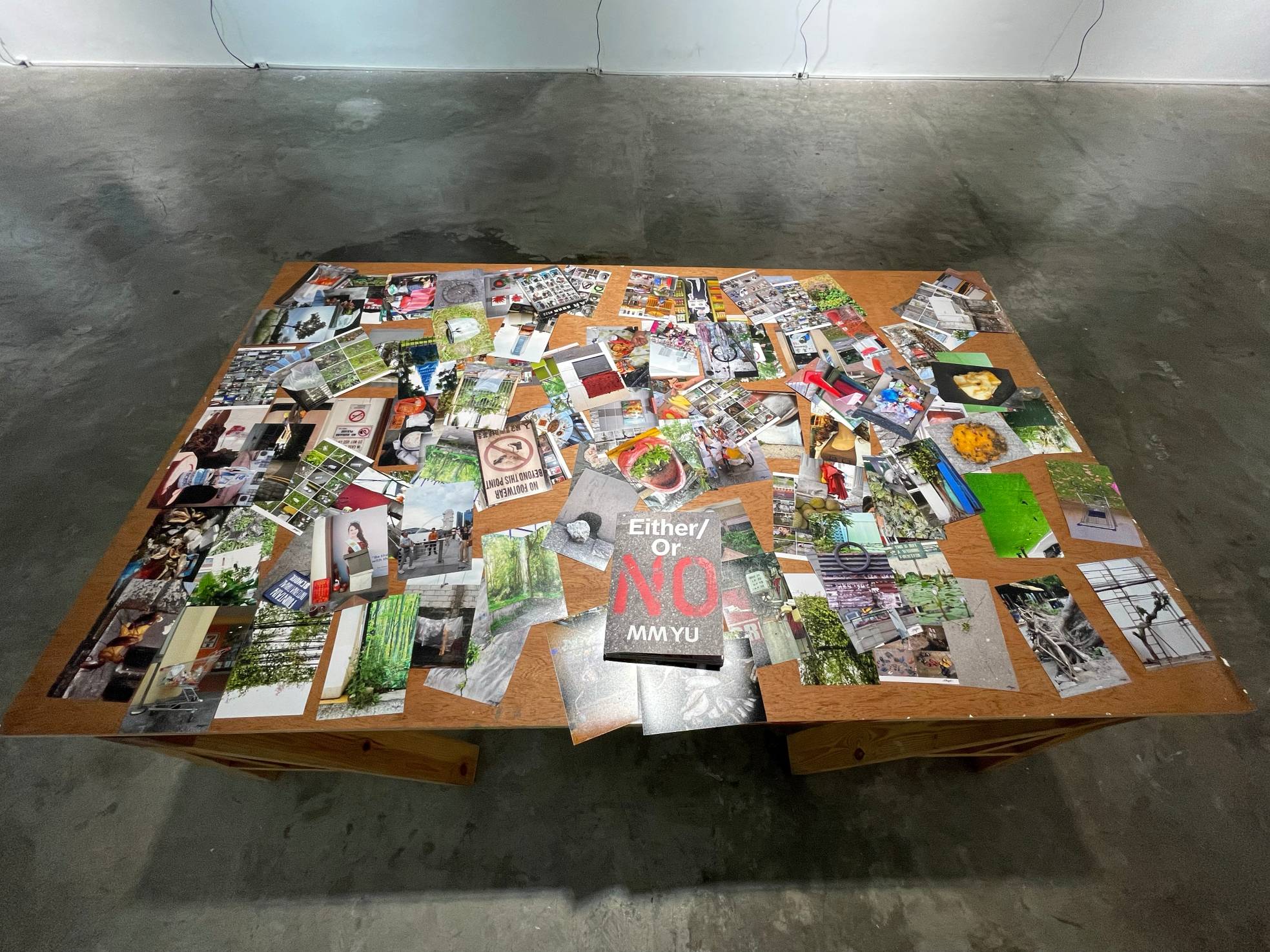 Table with the book and a cluster of different images shown in the exhibition. Photo provided by the artist.
