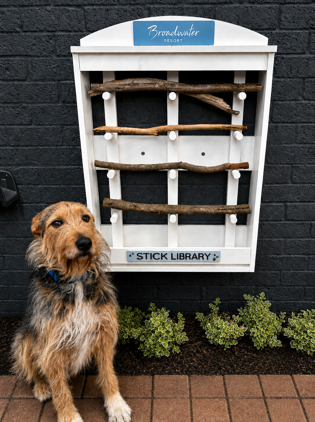 Pet Supplement Fee