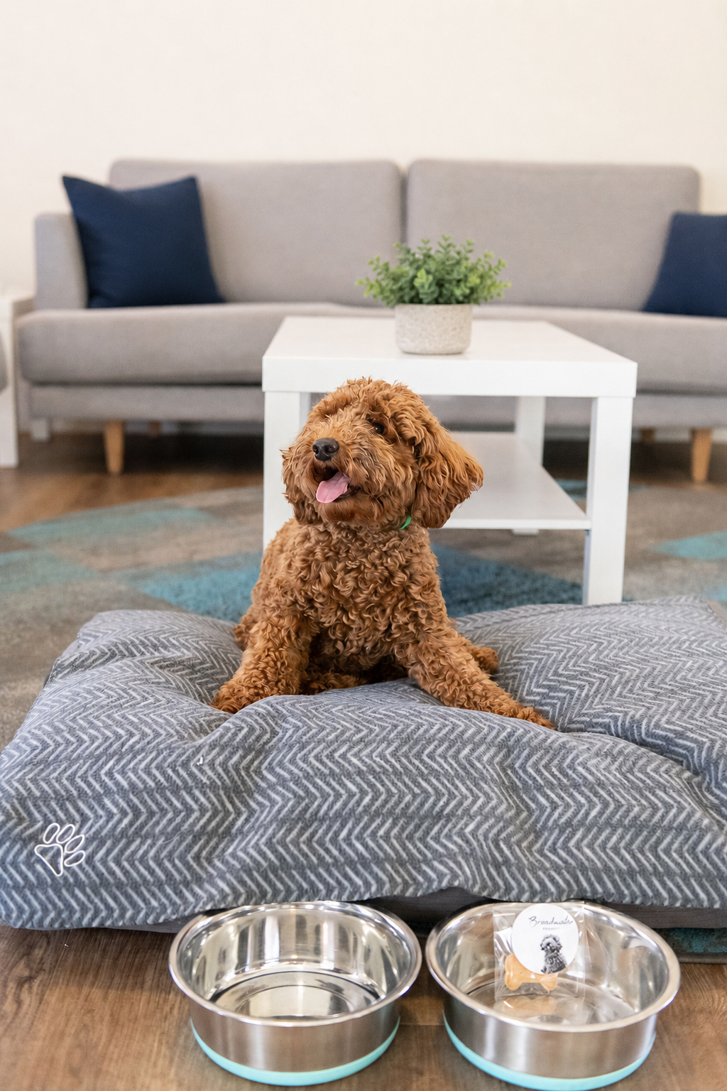 Dog-Friendly Dates