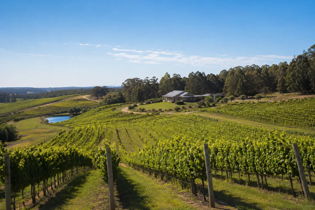 Vineyards in the Margaret River wine region near Busselton