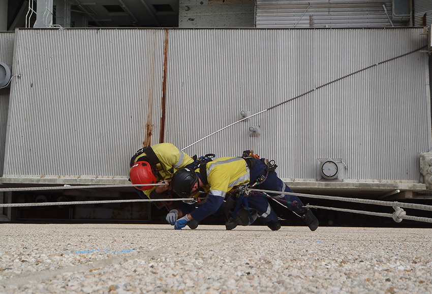 363-Wellington-Street-Western-Facade-Technical-Survey-3