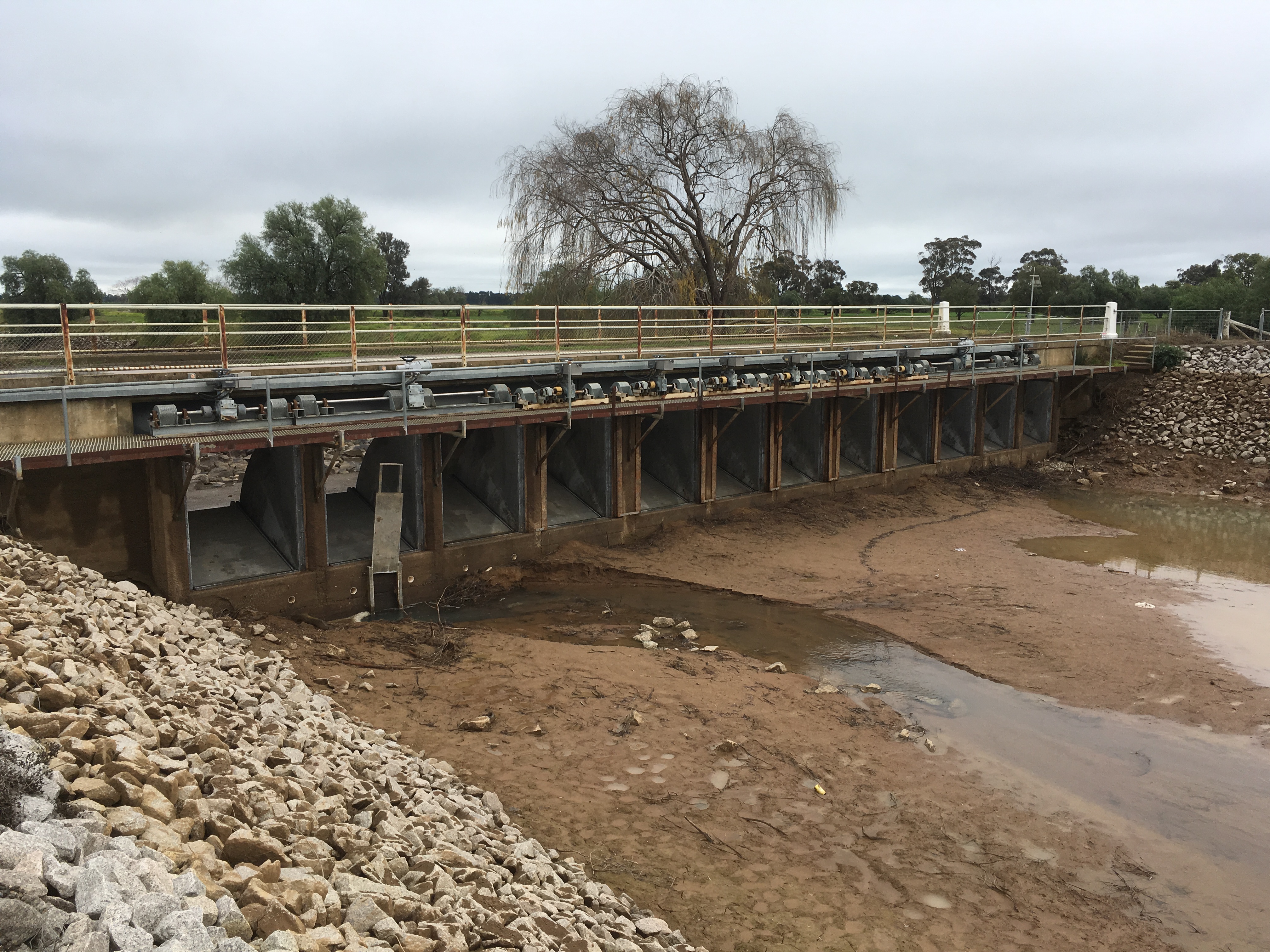 Mulwala-and-Deniboota-1