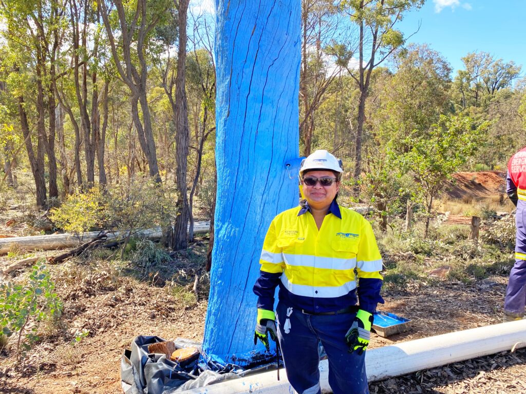 Blue Tree Project - Duratec Limited